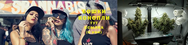 трава Алзамай