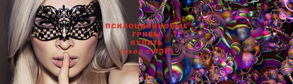 дурь Алексеевка