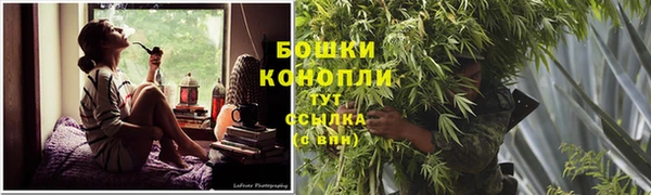 индика Железногорск-Илимский