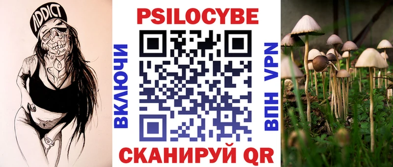 нарко площадка как зайти Дудинка Галлюциногенные грибы Magic Shrooms купить